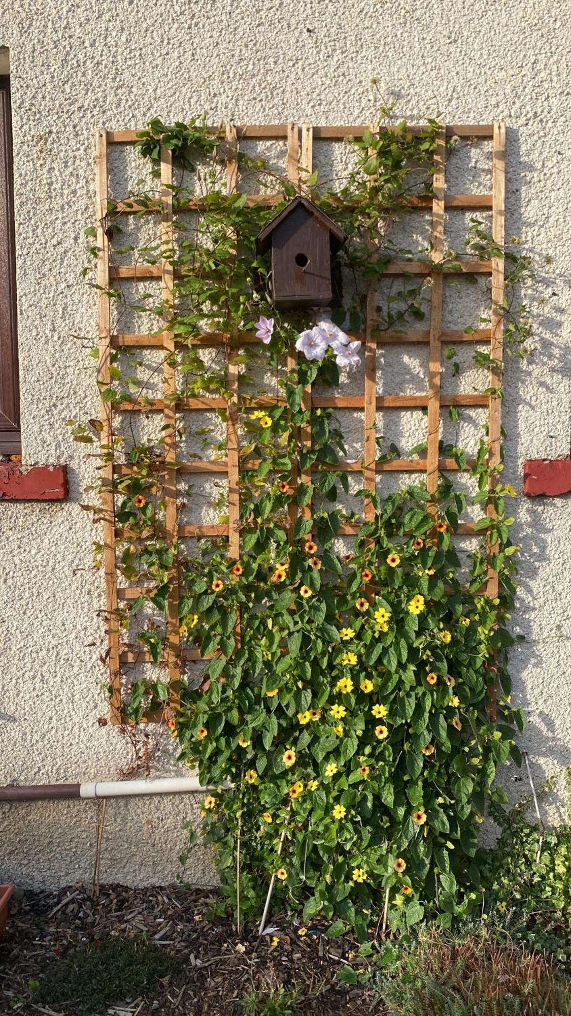 Frans Place EDI Exteriér fotografie